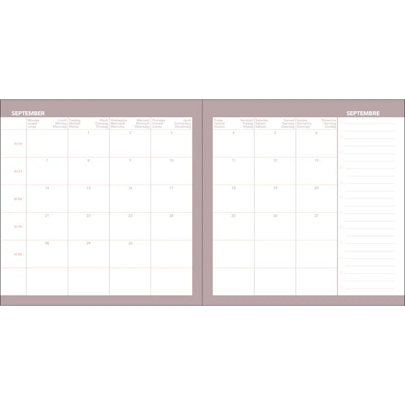 Agenda 2027 QUO VADIS Exécutif Color - 16 x 16 cm - 1 semaine sur 2 pages - Orientation verticale - Pastel rose