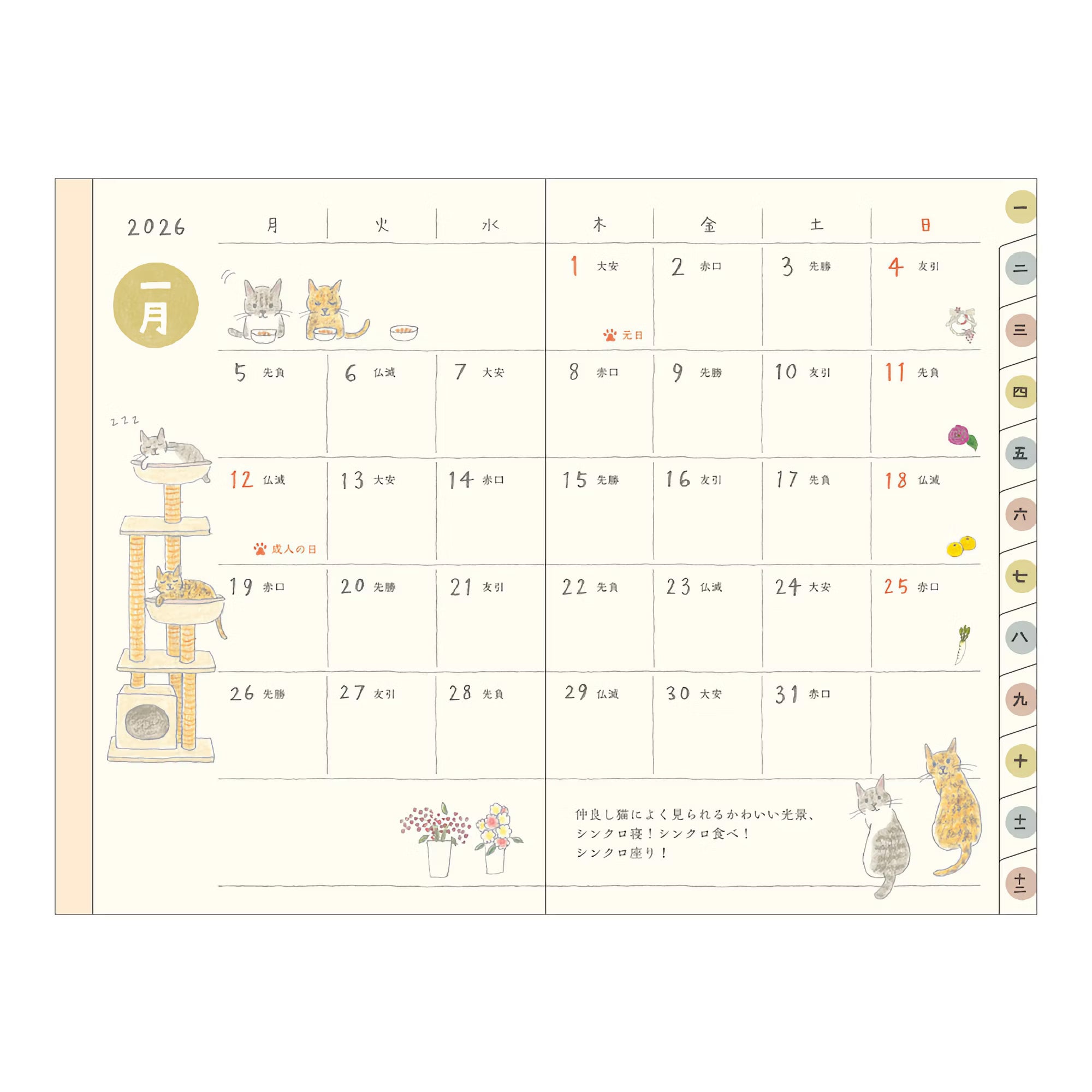 Agenda 2026 MIDORI Pocket Diary - Mini - Chat