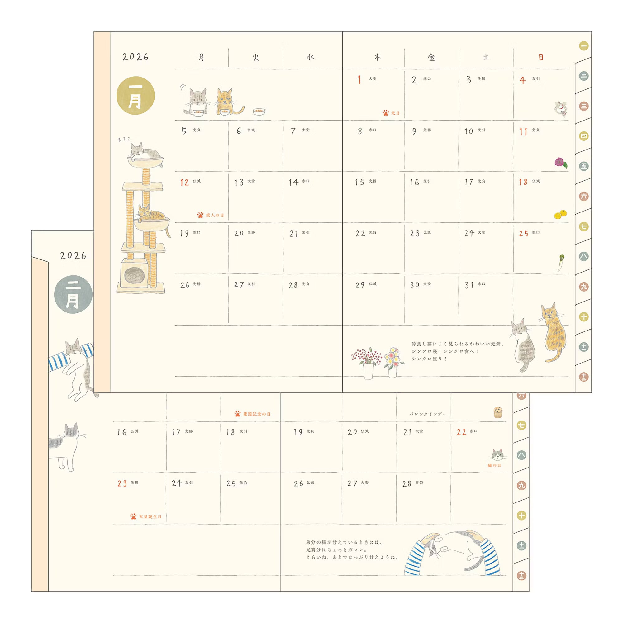 Agenda 2026 MIDORI Pocket Diary - B6 - Chat