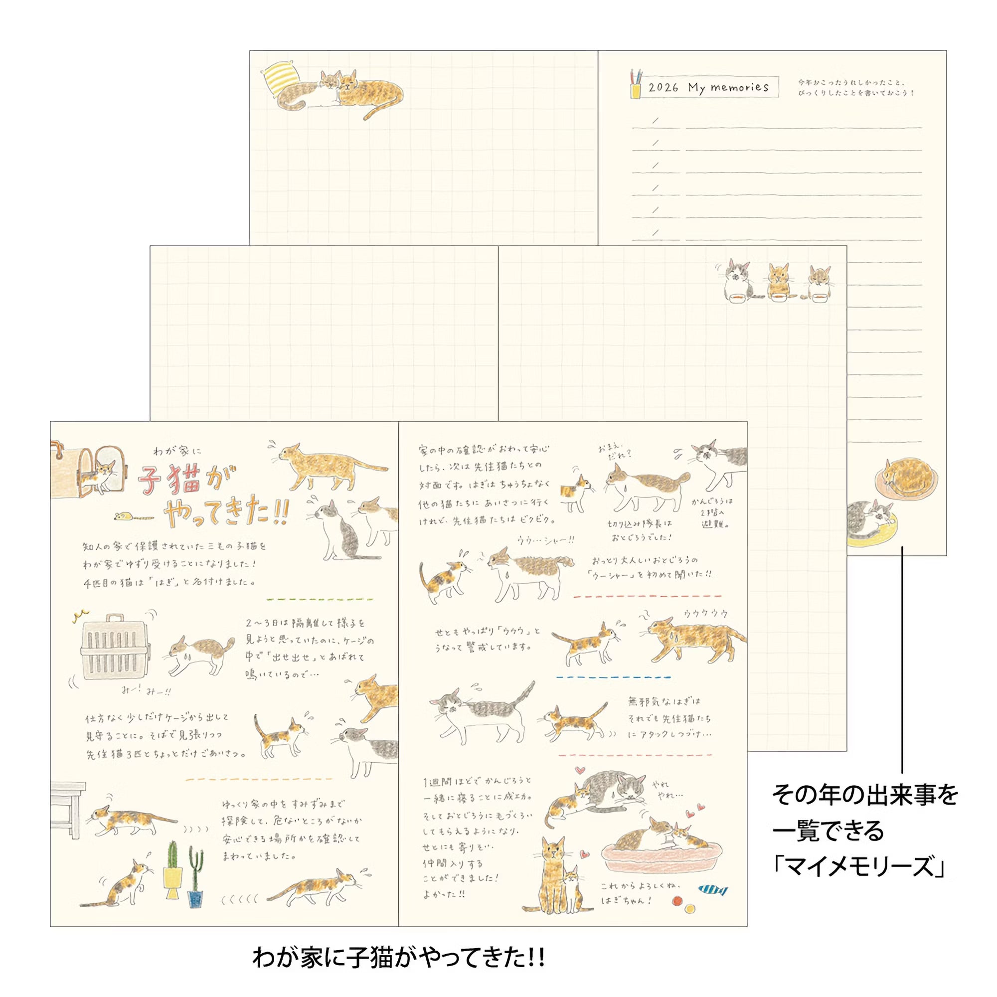 Agenda 2026 MIDORI Pocket Diary - B6 - Chat