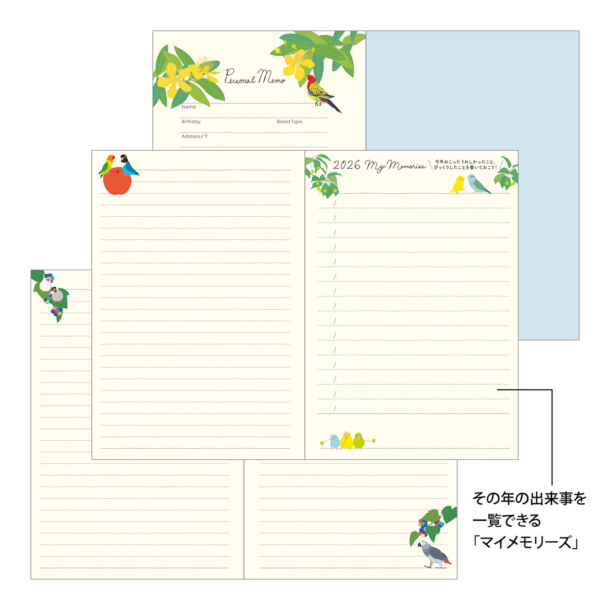 Agenda 2026 MIDORI Pocket Diary - B6 - Oiseau