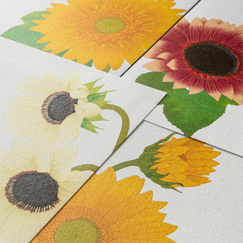 Papier à lettres MIDORI washi - 177 x 168 mm - Tournesols