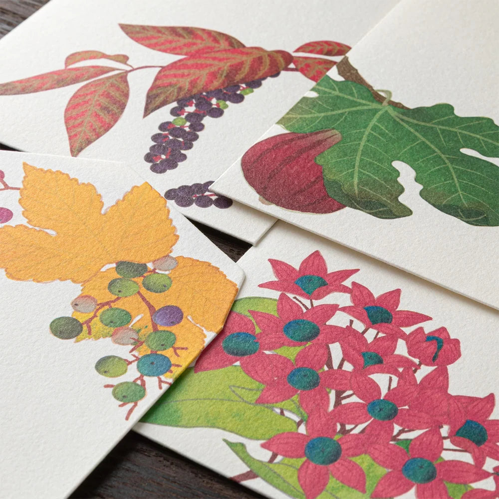 Enveloppes MIDORI washi - 188 x 90 mm - Fruits d’automne