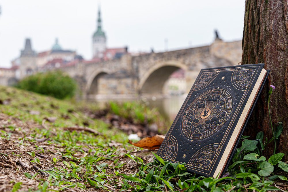 Carnet PAPERBLANKS Pénombre de Navarre - Midi - Hardcover - Uni - 144p