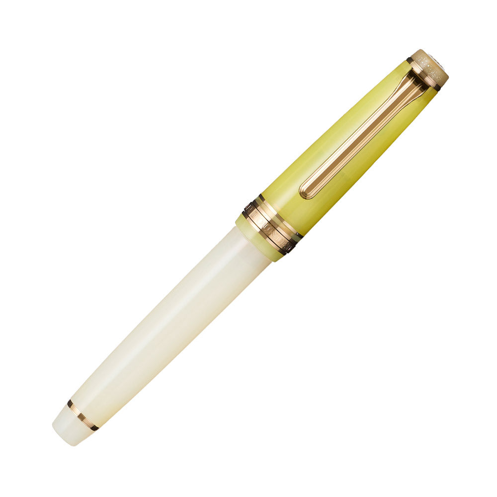 Stylo plume SAILOR Pro Gear Slim Dried Flower II - Marigold