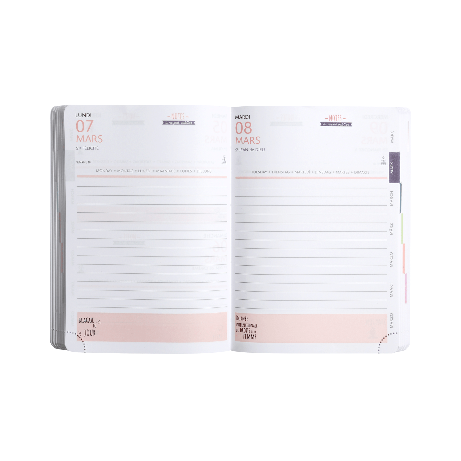 Agenda 2025 - 2026 EXACOMPTA Forum Color - 12 x 17 cm - 1 jour par page - Orientation horizontale - Soft Harmony rose - 3660942073462