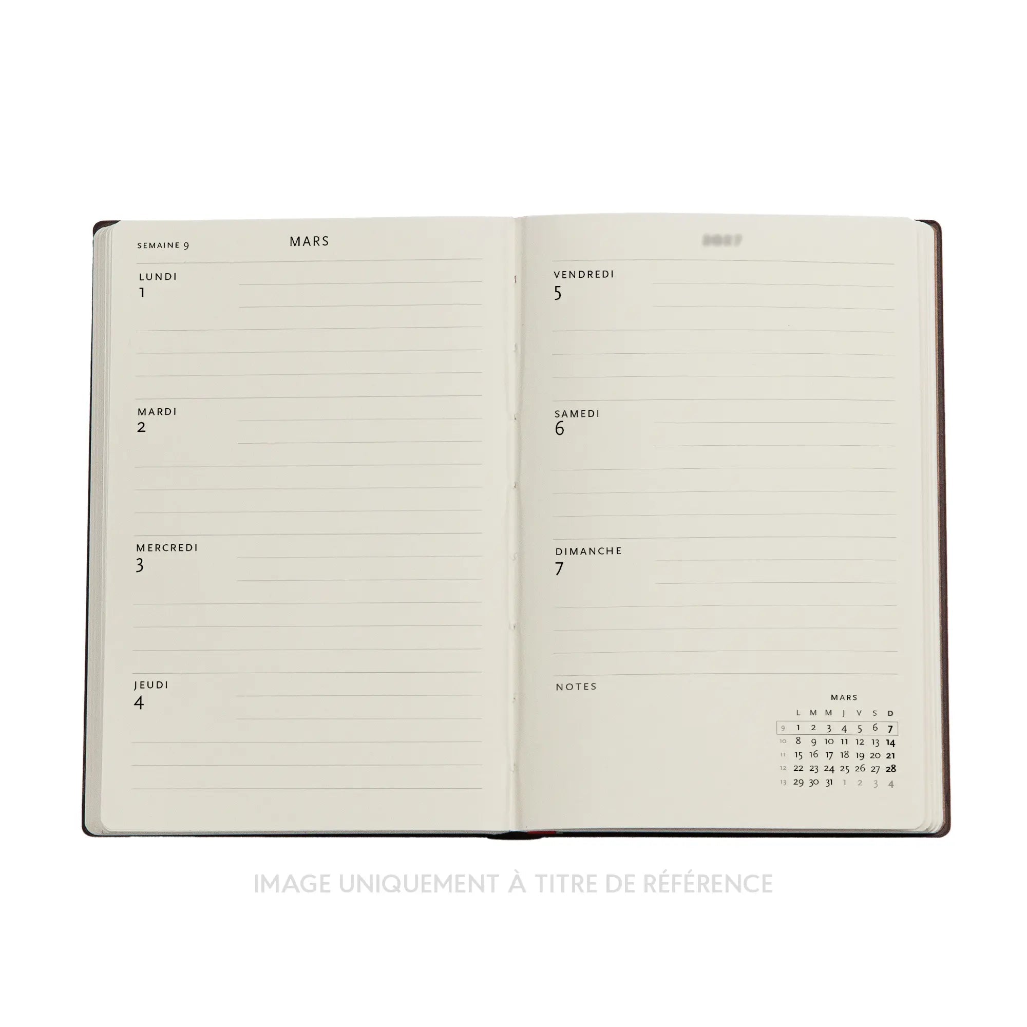 Agenda 2027 PAPERBLANKS Saule Bleu - 1 semaine sur 2 pages - Midi - Softcover - Horizontal - 176p