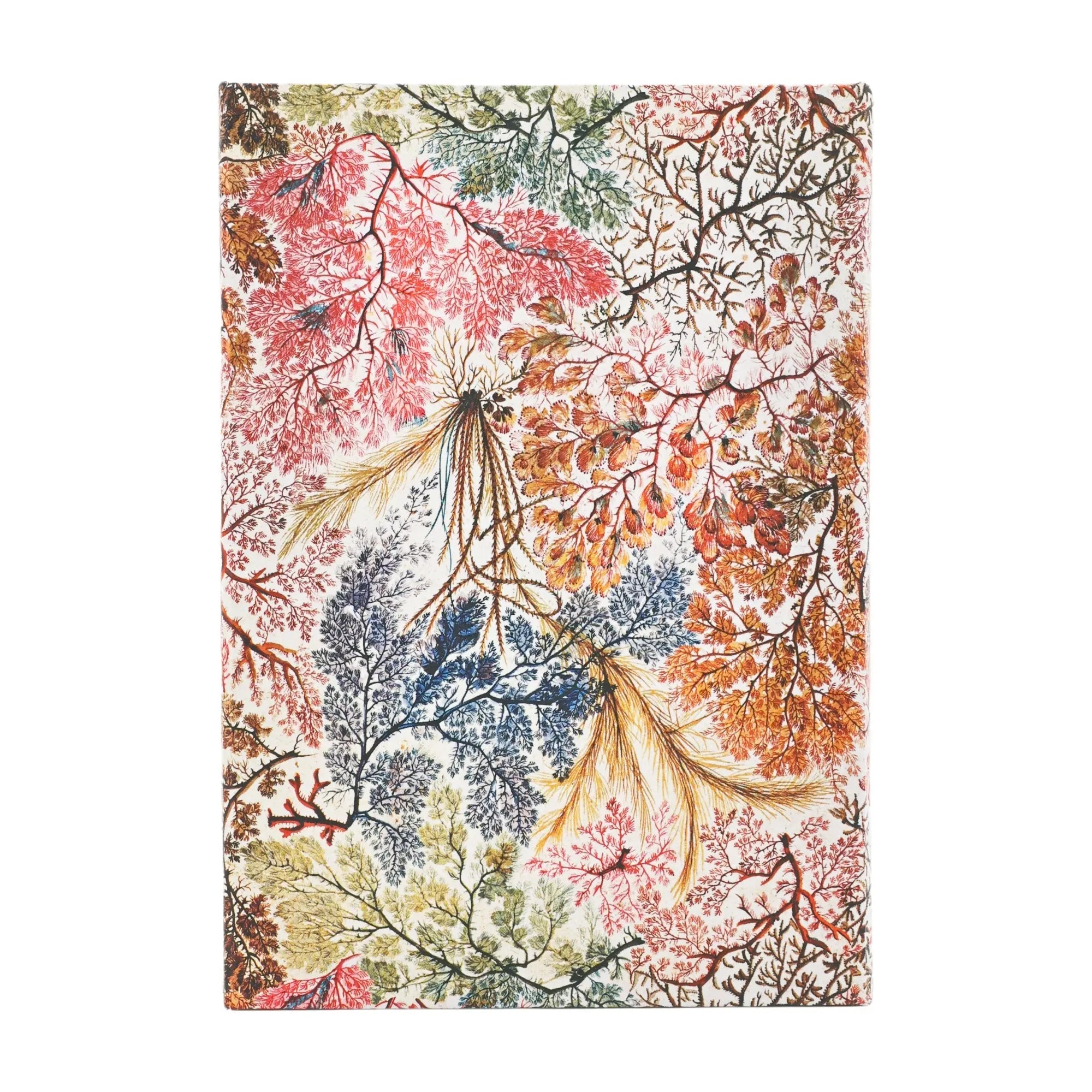 Agenda 2026 PAPERBLANKS Anémone - 1 semaine sur 2 pages - Midi - Hardcover - Horizontal - 160p - 9780349709109