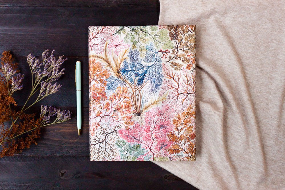 Agenda 2027 PAPERBLANKS Anémone - 1 semaine sur 2 pages - Midi - Hardcover - Horizontal - 176p - 9780349720647