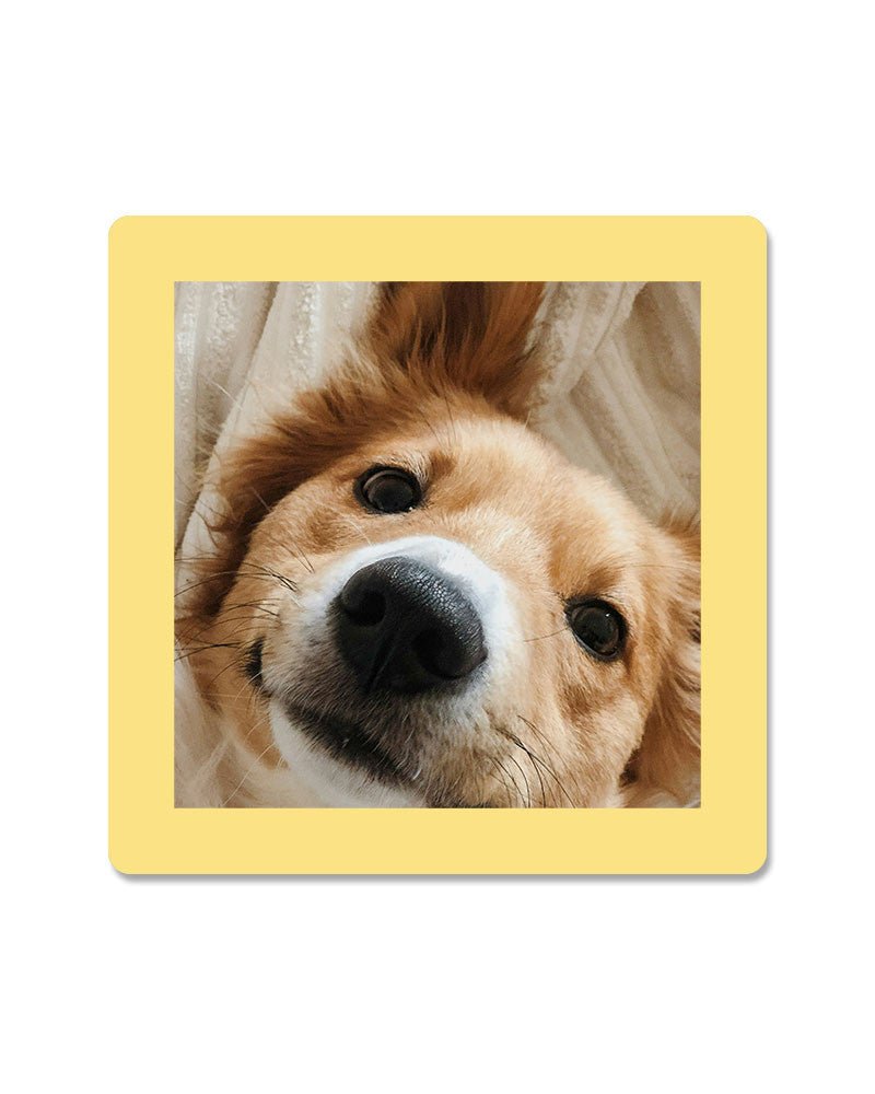 Cadre photo SLIMPYX adhésif - 10 x 10 cm - Jaune paille -