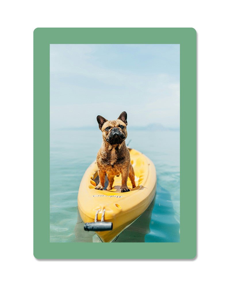 Cadre photo SLIMPYX adhésif - 10 x 15 cm - Menthe - 3683080260495