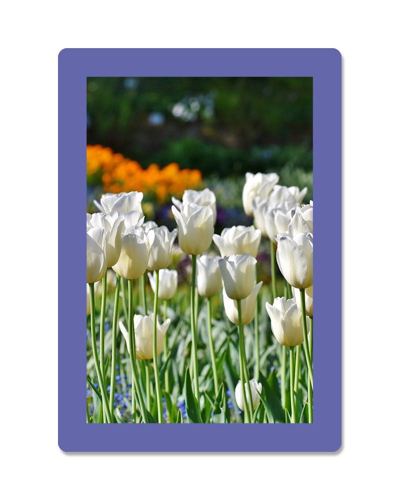 Cadre photo SLIMPYX adhésif - 10 x 15 cm - Violet lilas - 3683080261478