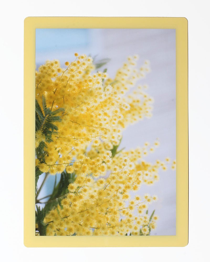 Cadre photo SLIMPYX adhésif - 20 x 30 cm - Jaune paille - 3683080261041