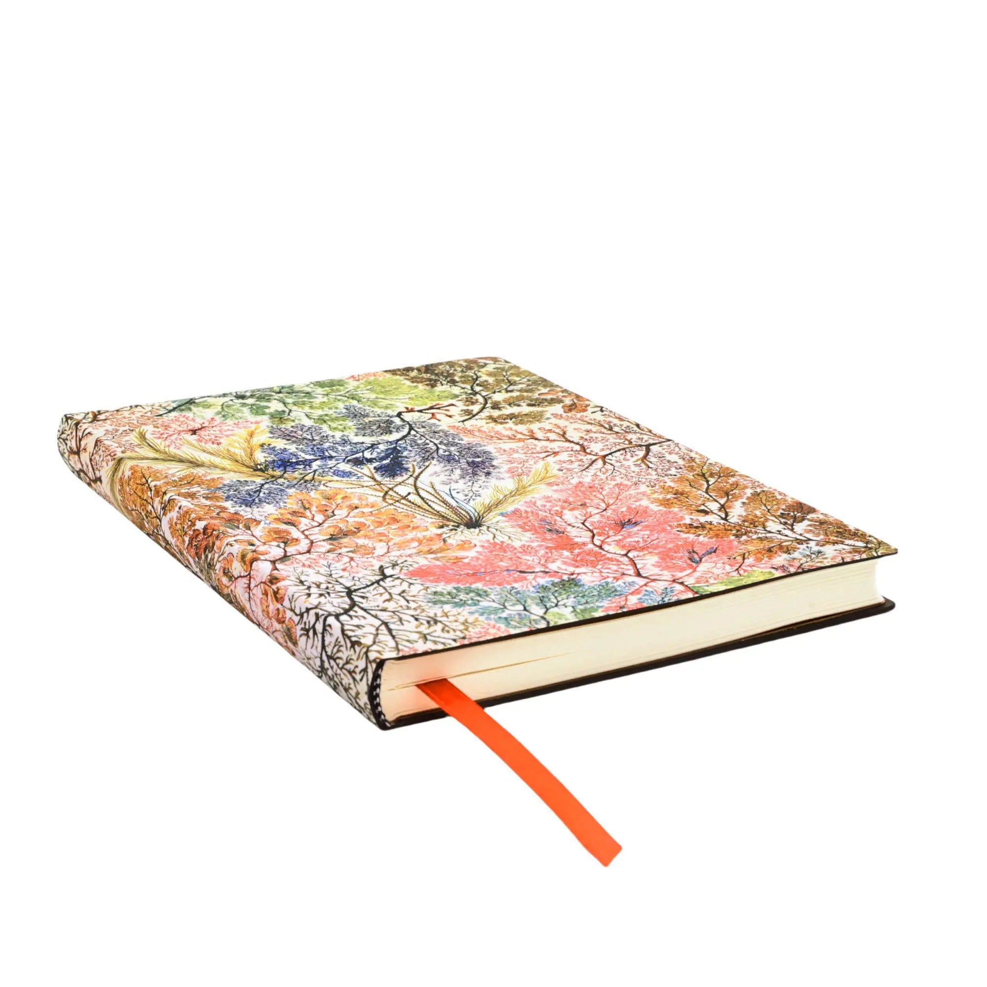 Carnet PAPERBLANKS Anémone - Midi - Softcover - Uni - 176p - 9781439799055