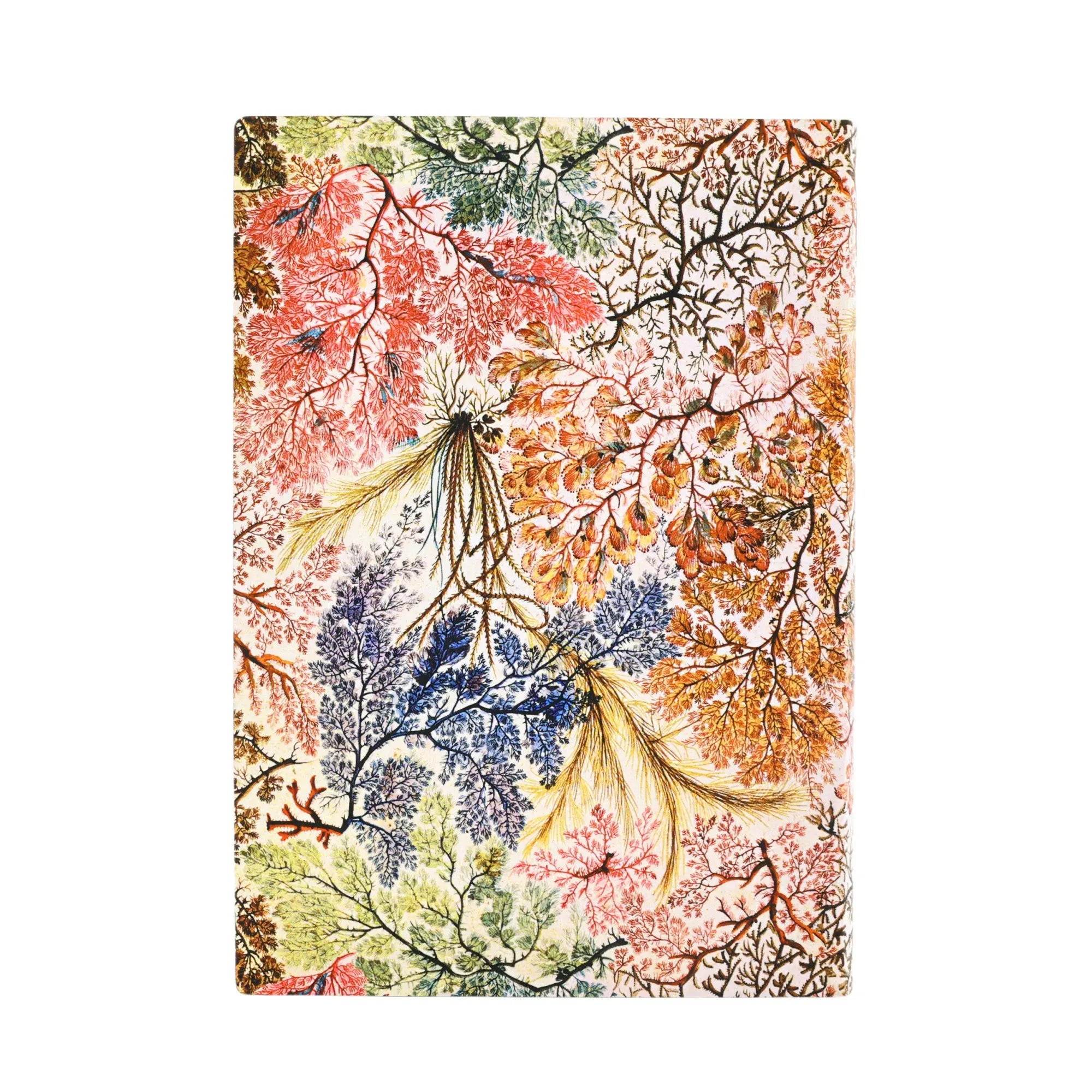 Carnet PAPERBLANKS Anémone - Midi - Softcover - Uni - 176p - 9781439799055