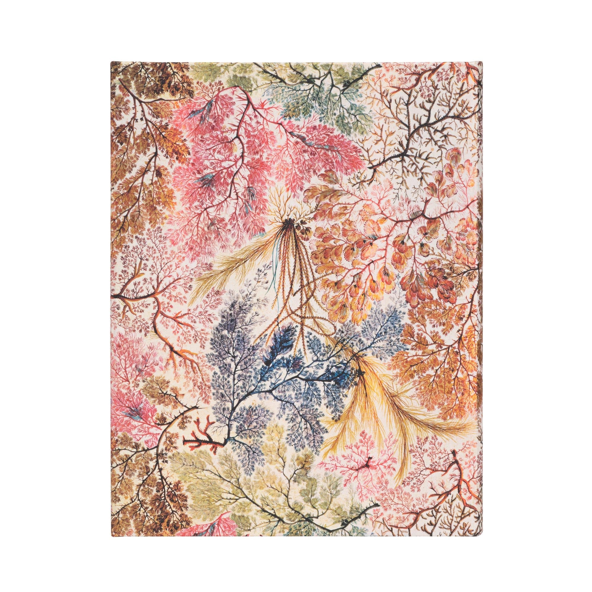 Carnet PAPERBLANKS Anémone - Ultra - Hardcover - Ligné - 144p - 9781439772270