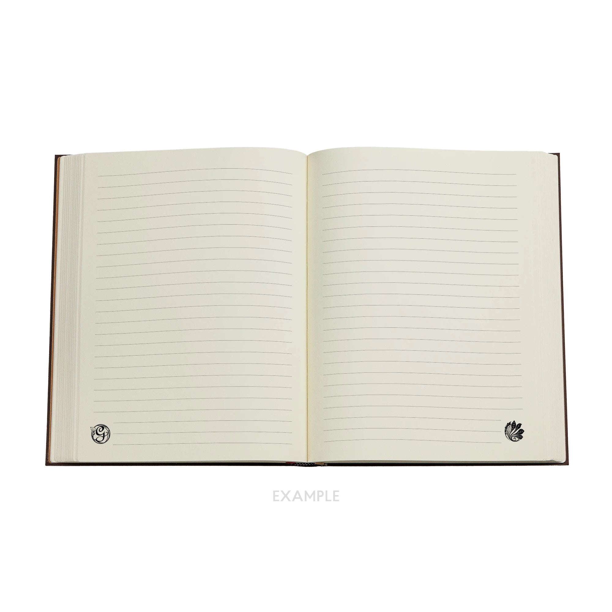 Carnet PAPERBLANKS La Magie de Wicked - Mini - Hardcover - Ligné - 176p - 9781408764411
