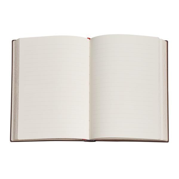 Carnet PAPERBLANKS Mimosa - Mini - Softcover - Ligné - 208p - 9780349715582
