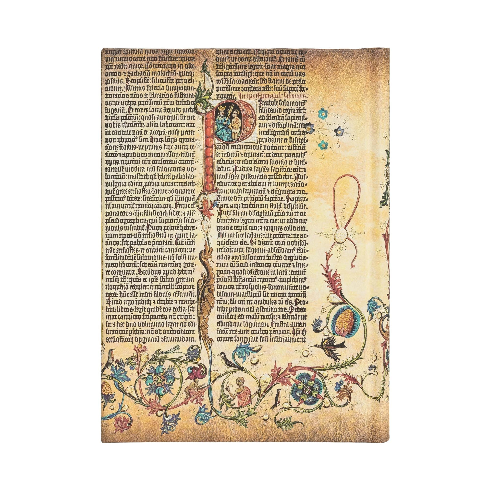 Carnet PAPERBLANKS Parabole - Midi - Hardcover - Ligné - 144p - 9781439750322