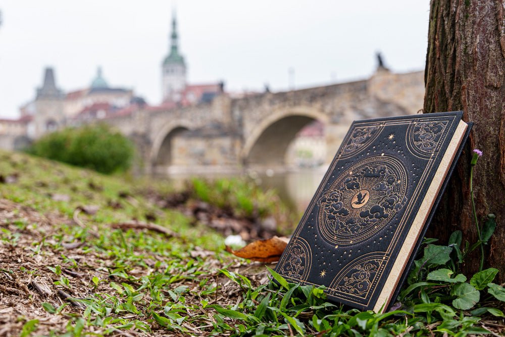 Carnet PAPERBLANKS Pénombre de Navarre - Midi - Hardcover - Ligné - 144p - 9781439799888