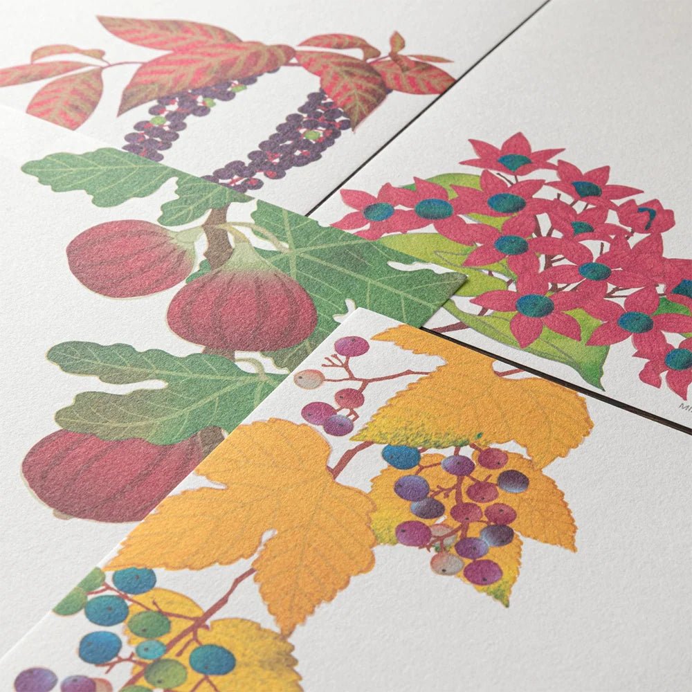 Papier à lettres MIDORI washi - 177 x 168 mm - Fruits d’automne - 4902805810333