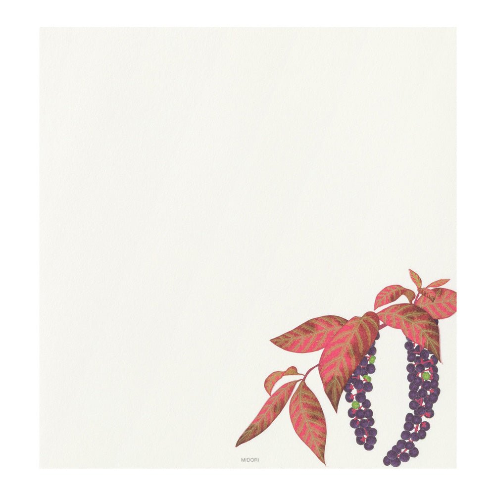 Papier à lettres MIDORI washi - 177 x 168 mm - Fruits d’automne - 4902805810333