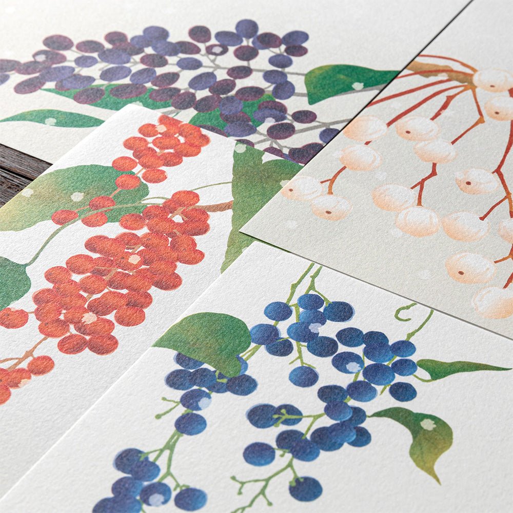 Papier à lettres MIDORI washi - 177 x 168 mm - Fruits d'Hiver - 4902805810005