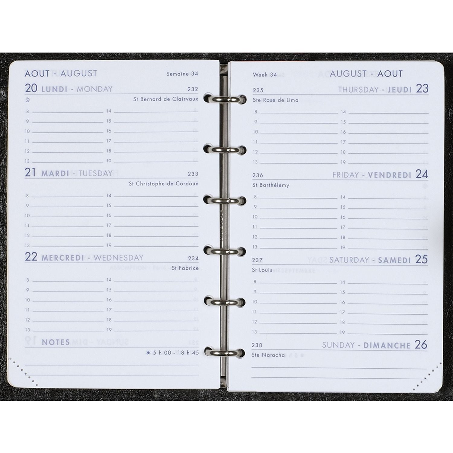 Recharge 2025 AGENDA MODERNE MODUL SEM INT9213S - 1 semaine sur 2 pages - 8.5 x 13 cm - 3338800600005