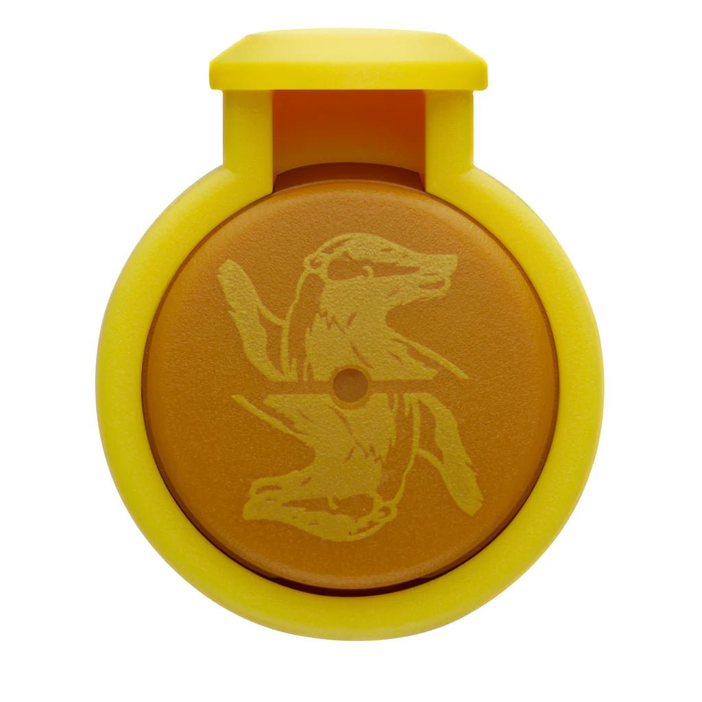 Stylo plume LAMY Nexx Édition Spéciale Harry Potter - Poufsouffle - Medium (M) -