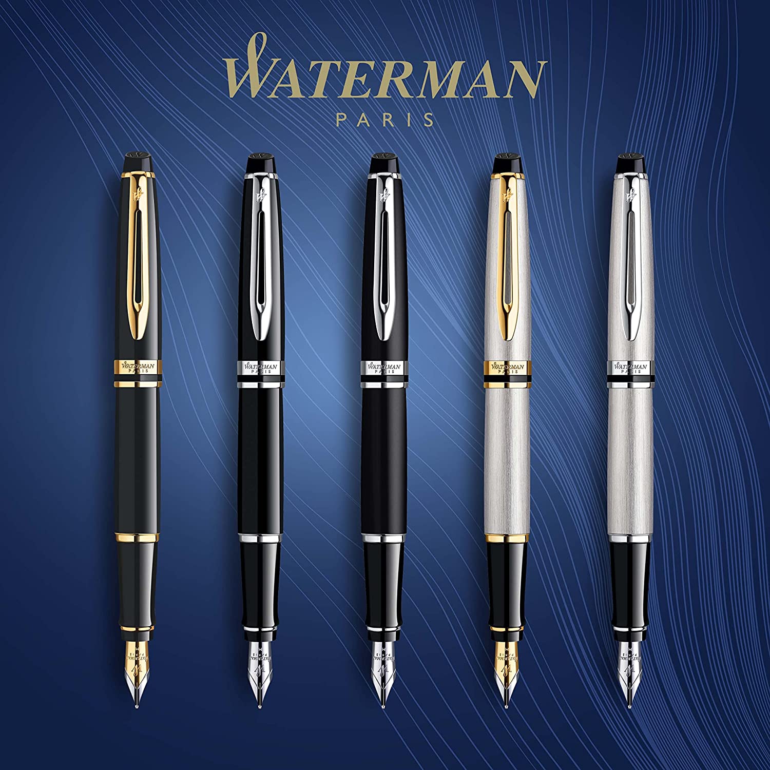 Stylo plume WATERMAN Expert - Noir Mat CT - Fine (F) -