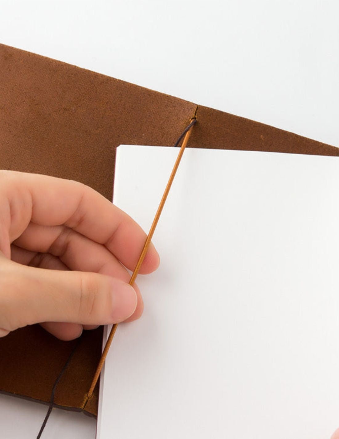 TRAVELER'S notebook - passport size - camel - 4902805151948