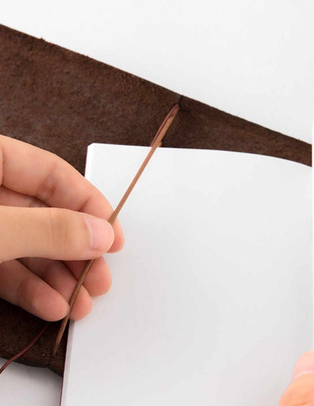 TRAVELER'S notebook - passport size - marron - 4902805150279