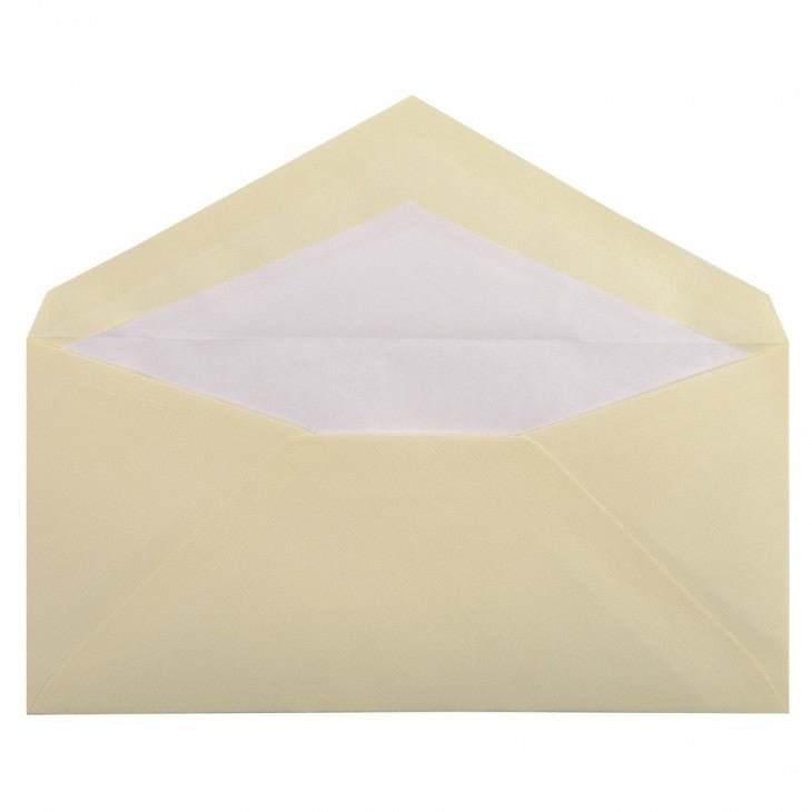25 enveloppes Vergé de France format DL - 11 x 22 cm - 100 g/m² - Ivoire - 3140290227163