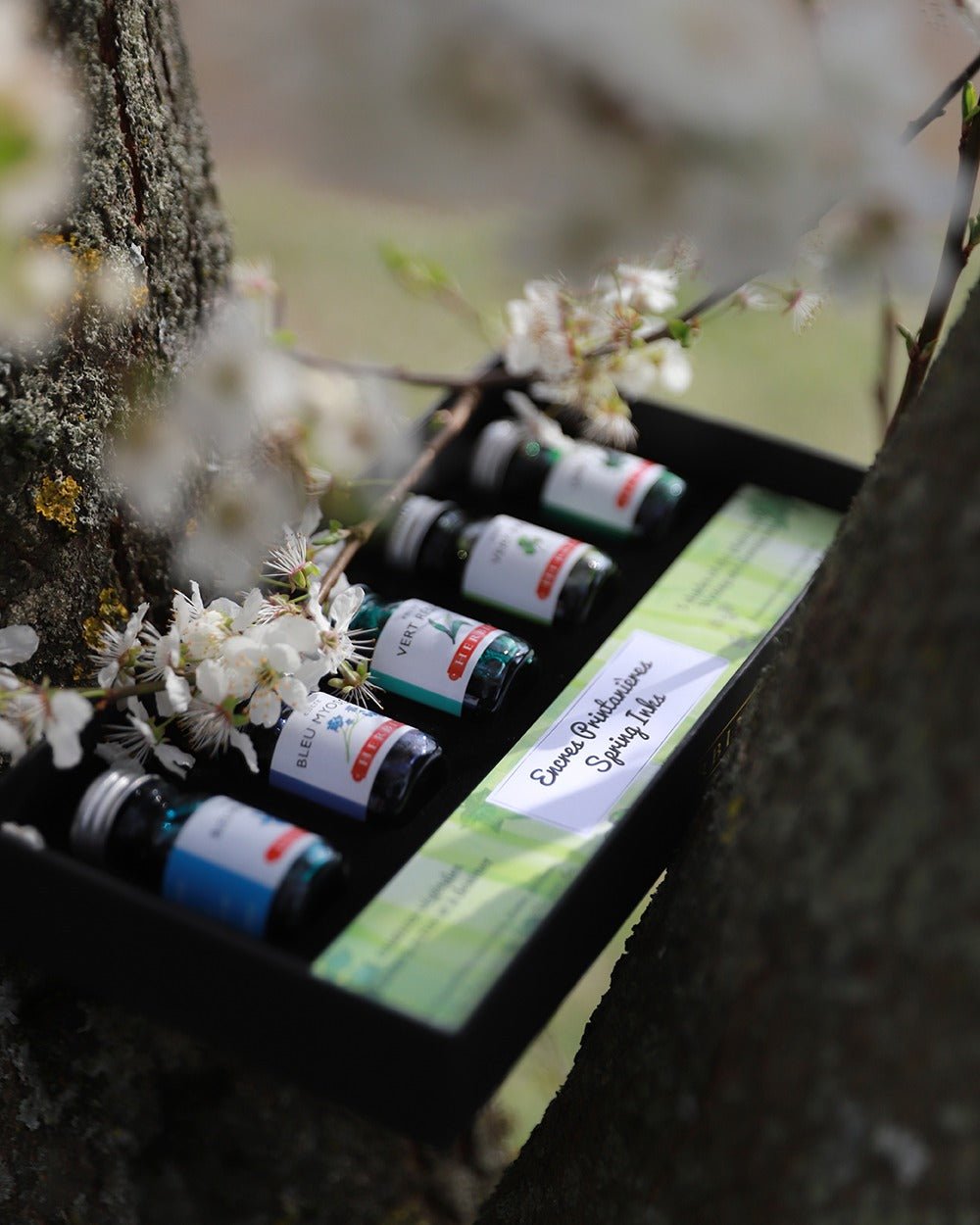 Coffret Encres Printanières JACQUES HERBIN - 5 flacons d'encre - 10 ml - Assorties - 3188550185013