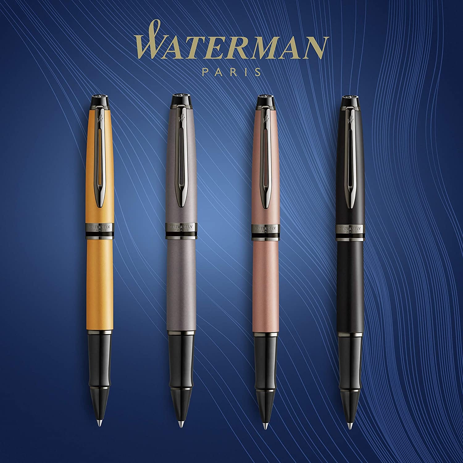 Stylo roller WATERMAN Expert Édition Spéciale - Fine (F) - Vernis Argenté Métallisé - 3026981192555