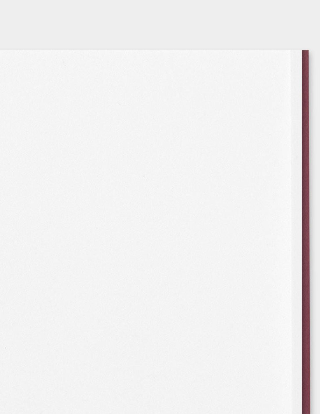 TRAVELER'S notebook 003 - carnet pages blanches (passport size) - TN Passport size - Uni - 4902805143707