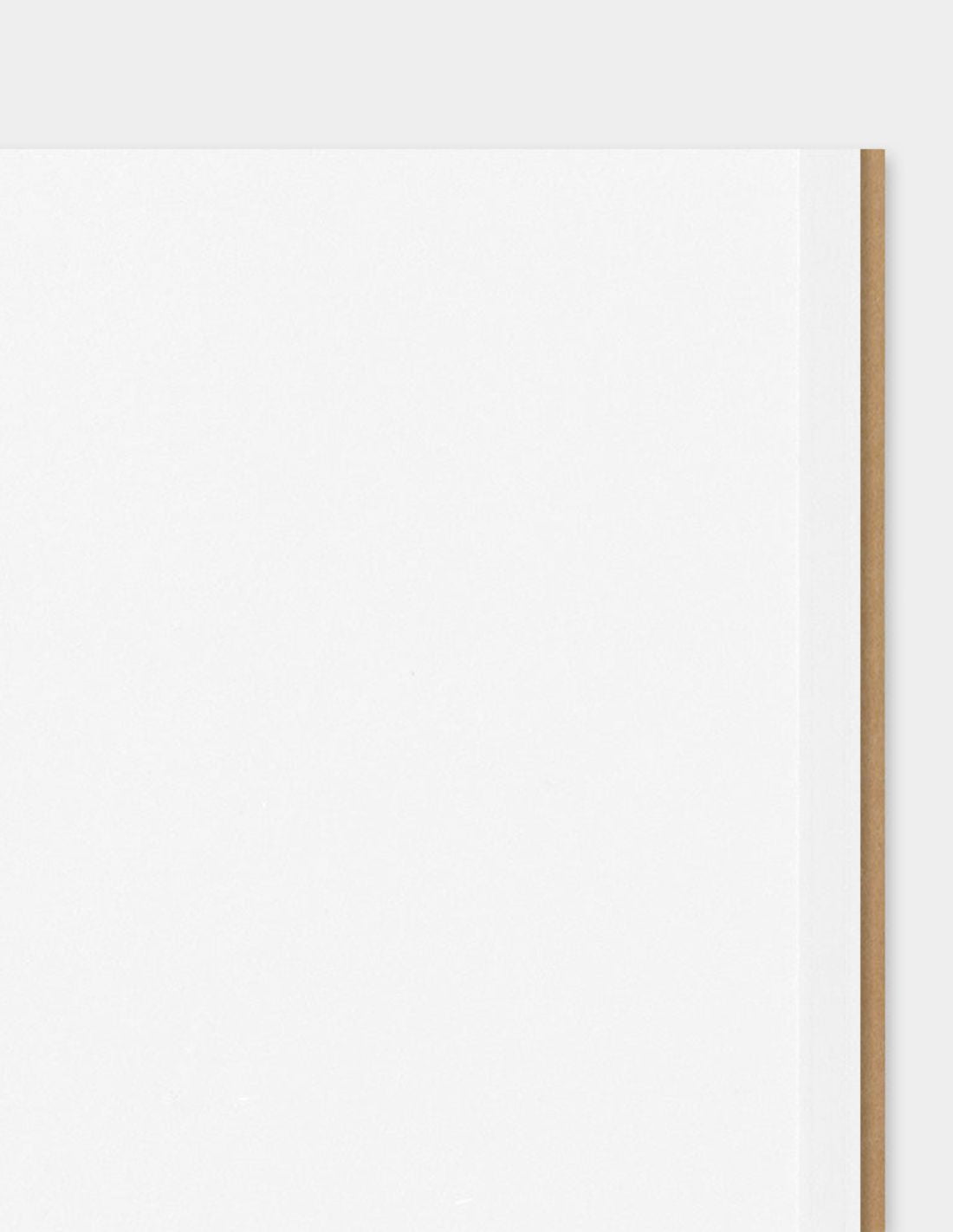 TRAVELER'S notebook 003 - carnet pages blanches (regular size) - TN Regular size - Uni - 4902805142472