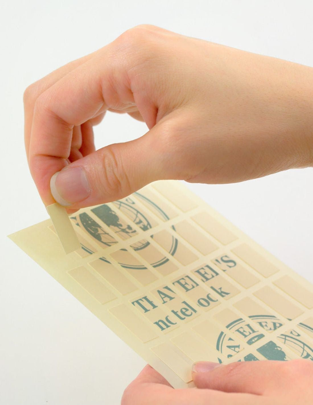 TRAVELER'S notebook 010 - adhésifs double-face (regular size) - TN Regular size - - 4902805143035