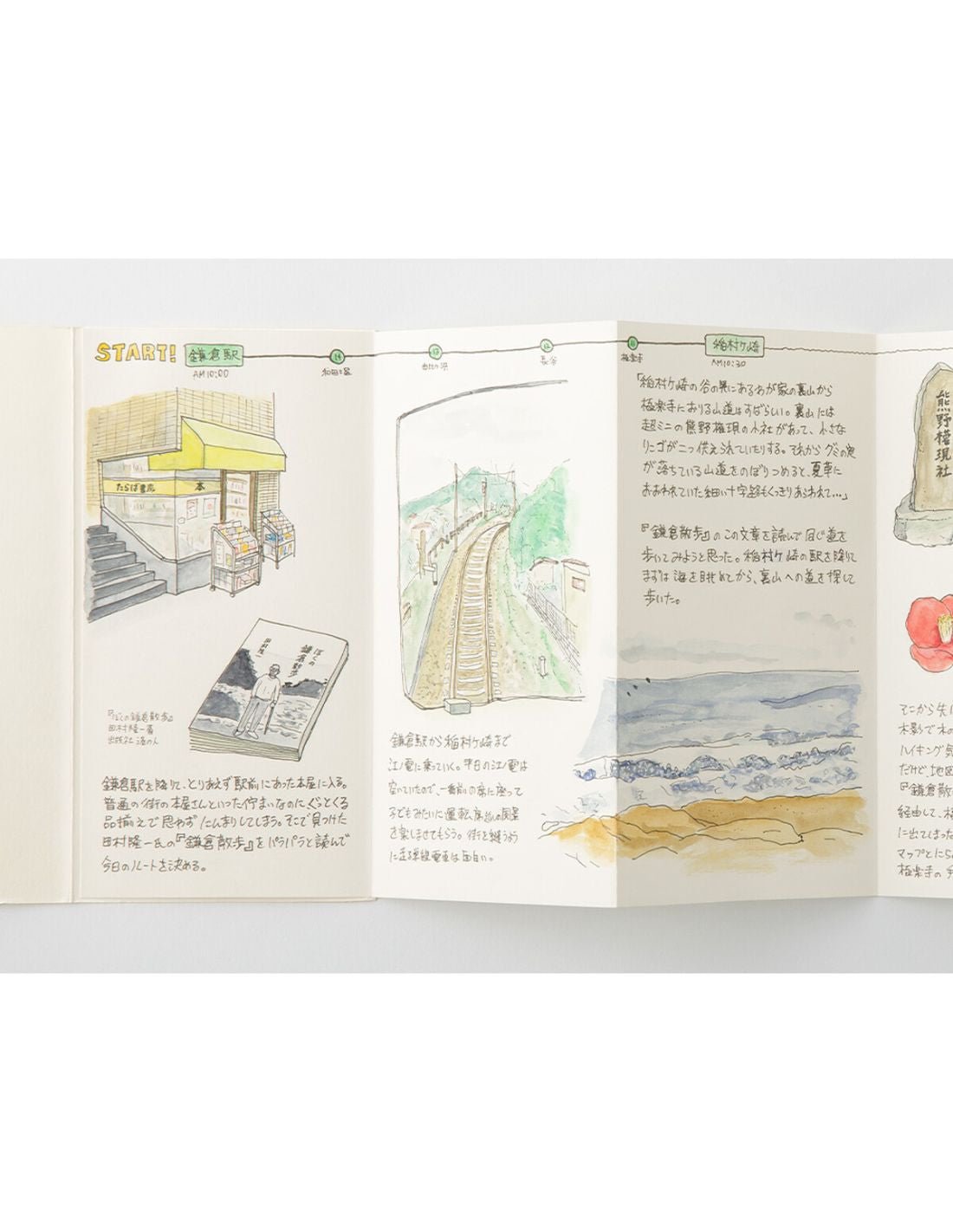 TRAVELER'S notebook 032 - carnet papier accordéon (regular size) - TN Regular size - Uni - 4902805144698