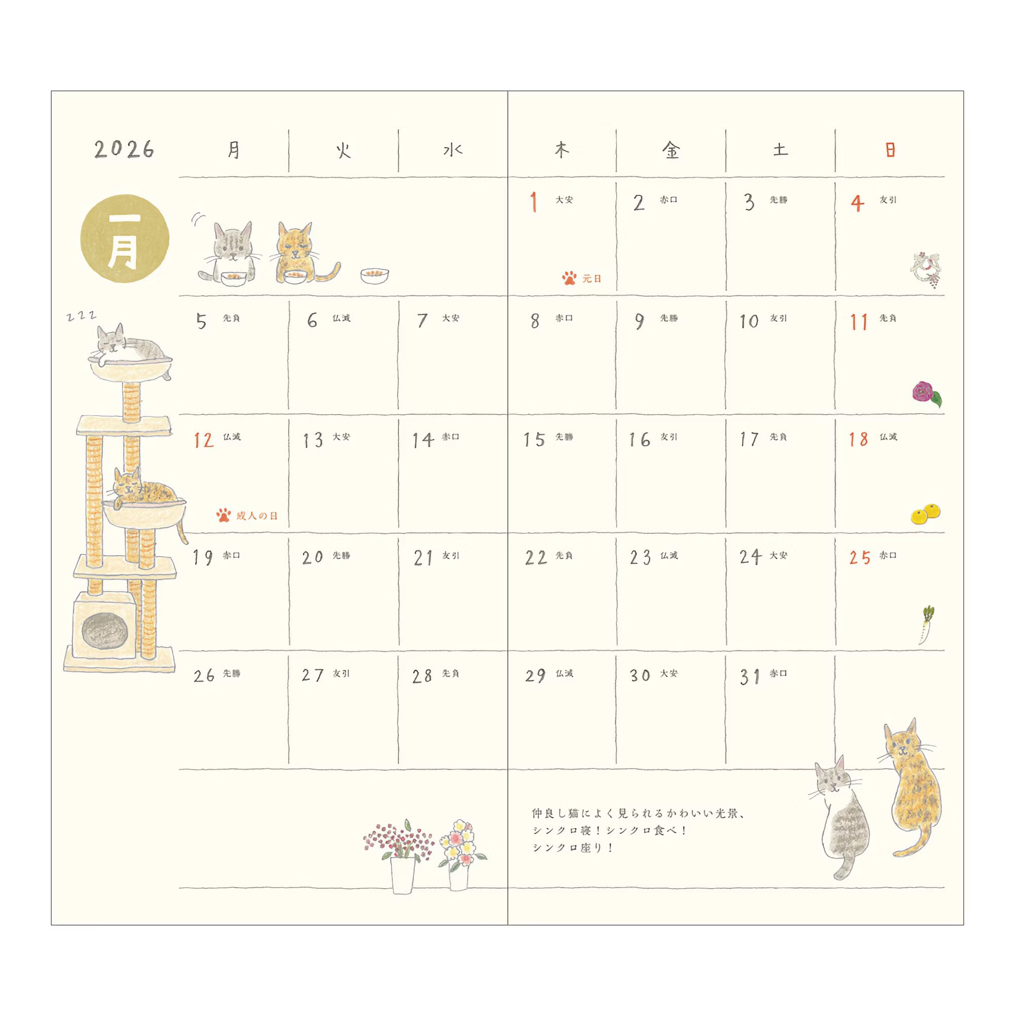 Agenda 2026 MIDORI Pocket Diary - Slim - Chat