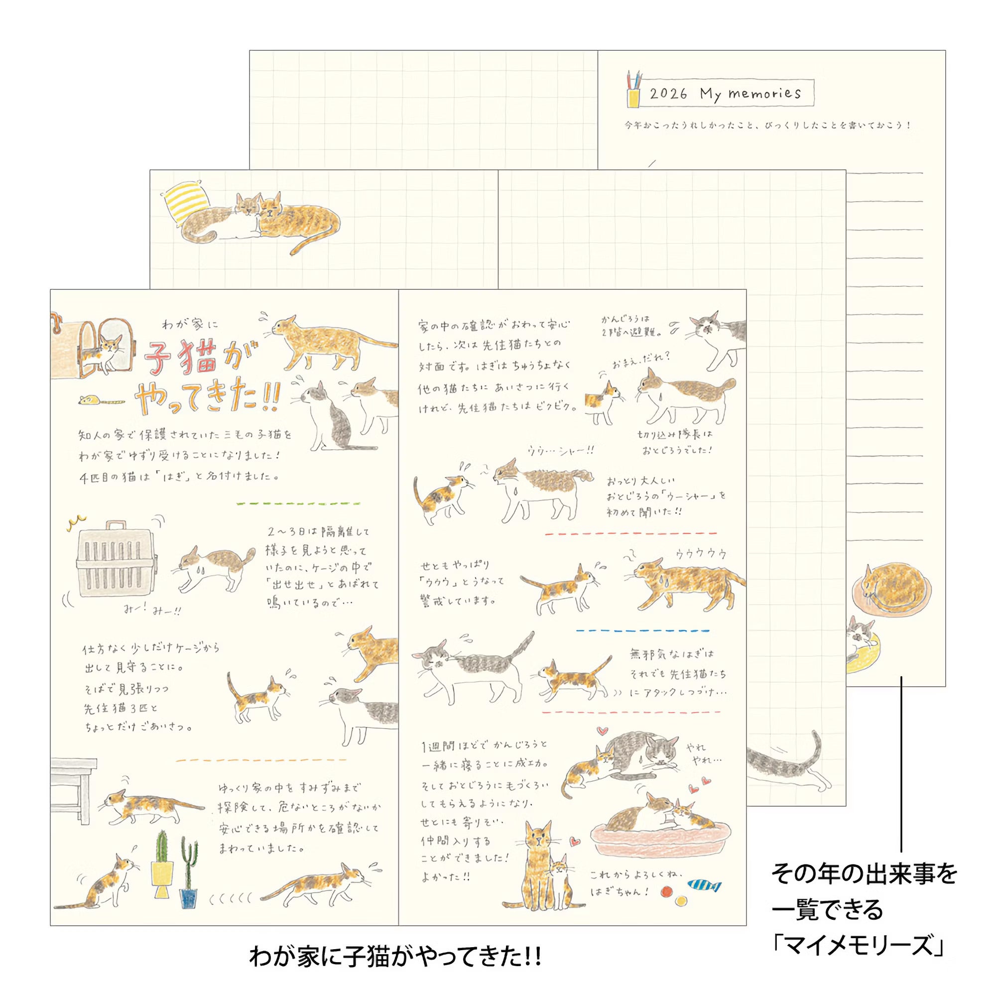Agenda 2026 MIDORI Pocket Diary - Slim - Chat