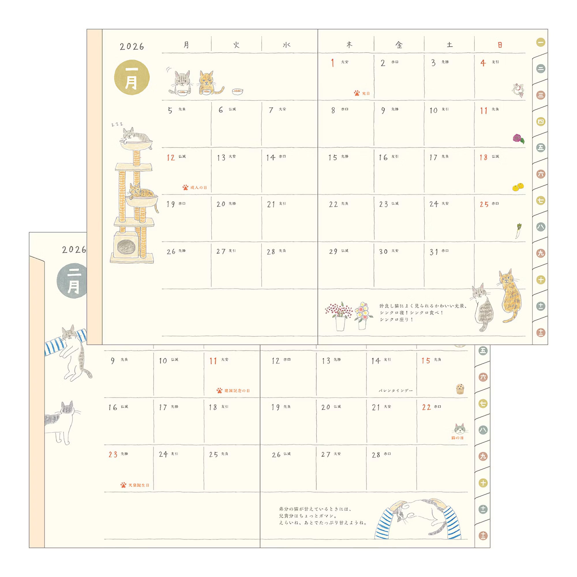 Agenda 2026 MIDORI Pocket Diary - A6 - Chat