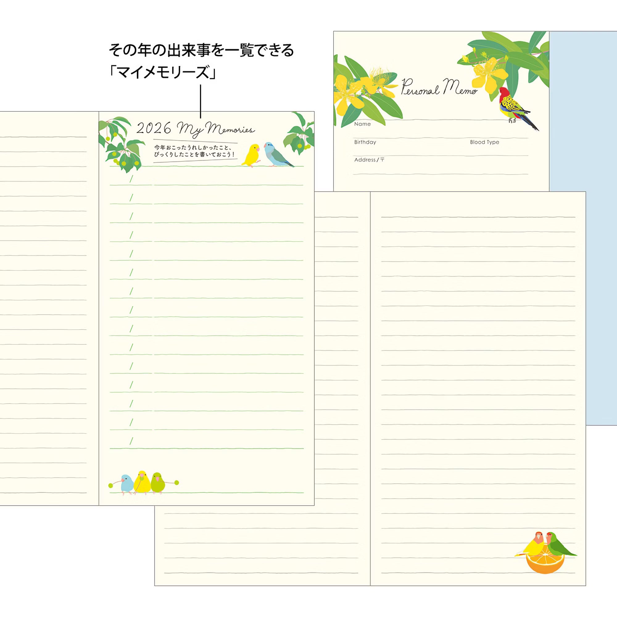 Agenda 2026 MIDORI Pocket Diary - Slim - Oiseau