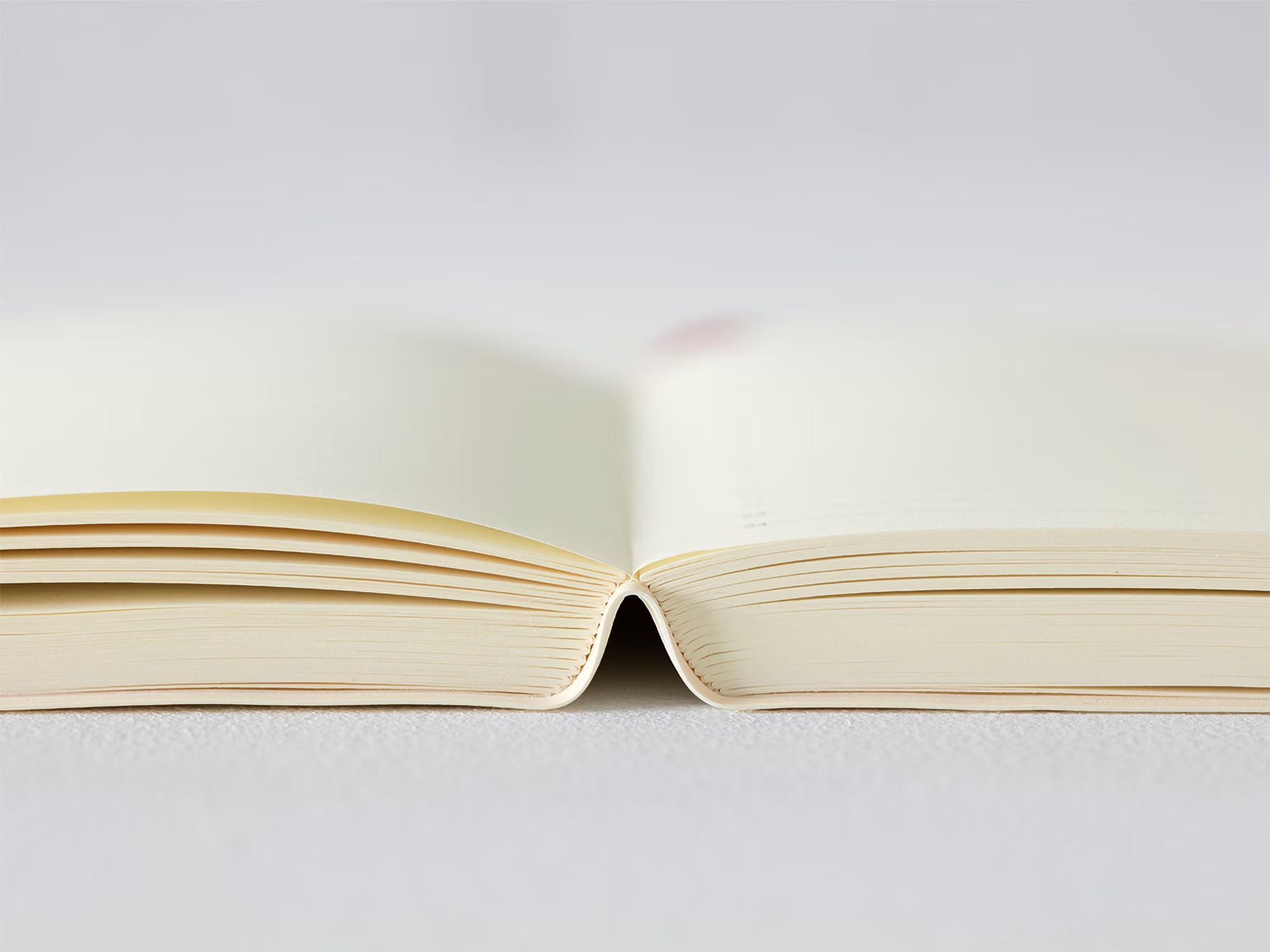 Agenda 2026 MIDORI MD PAPER Notebook Diary 1 Day 1 - A5