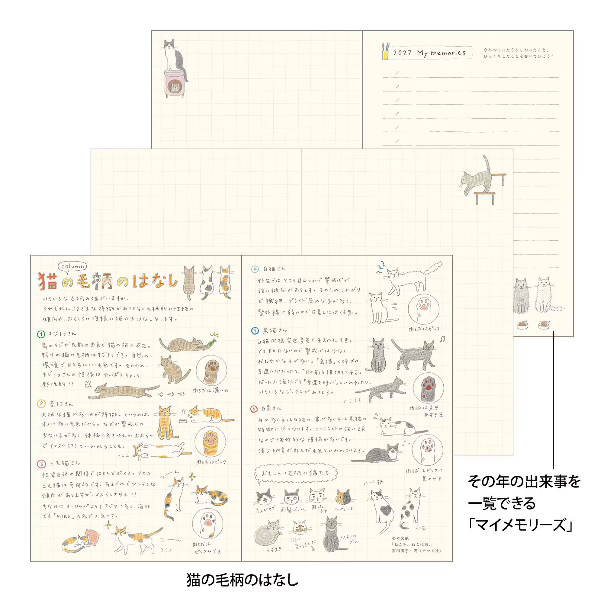 Agenda 2027 MIDORI Pocket Diary - B6 - Chat