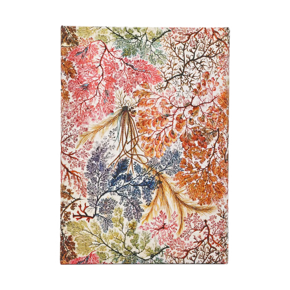 Agenda 2027 PAPERBLANKS Anémone - 1 semaine sur 2 pages - Midi - Hardcover - Horizontal - 176p