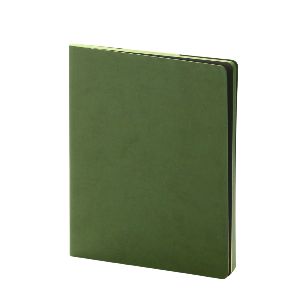 Carnet BALTS L - B5+ - Softcover - Uni - Green
