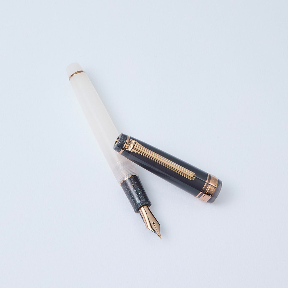 Stylo plume SAILOR Pro Gear Slim Dried Flower II - Black Rose