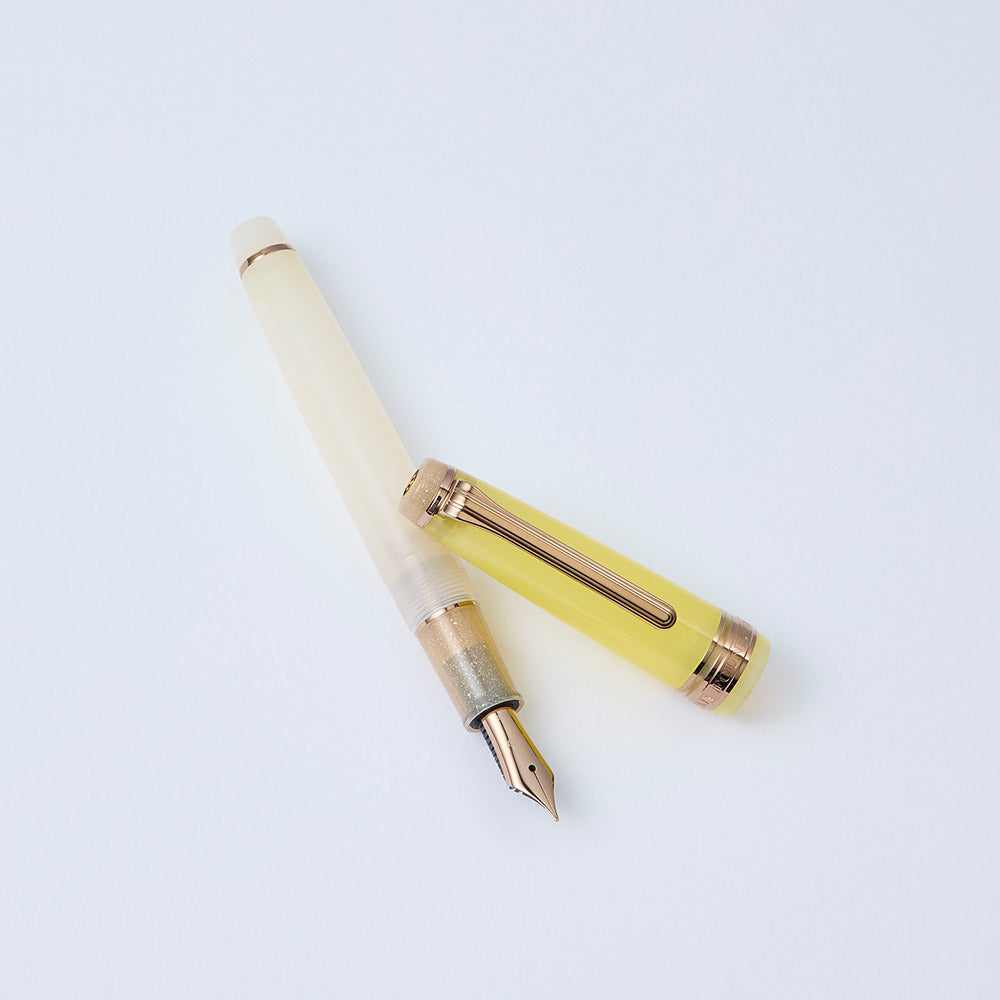 Stylo plume SAILOR Pro Gear Slim Dried Flower II - Marigold