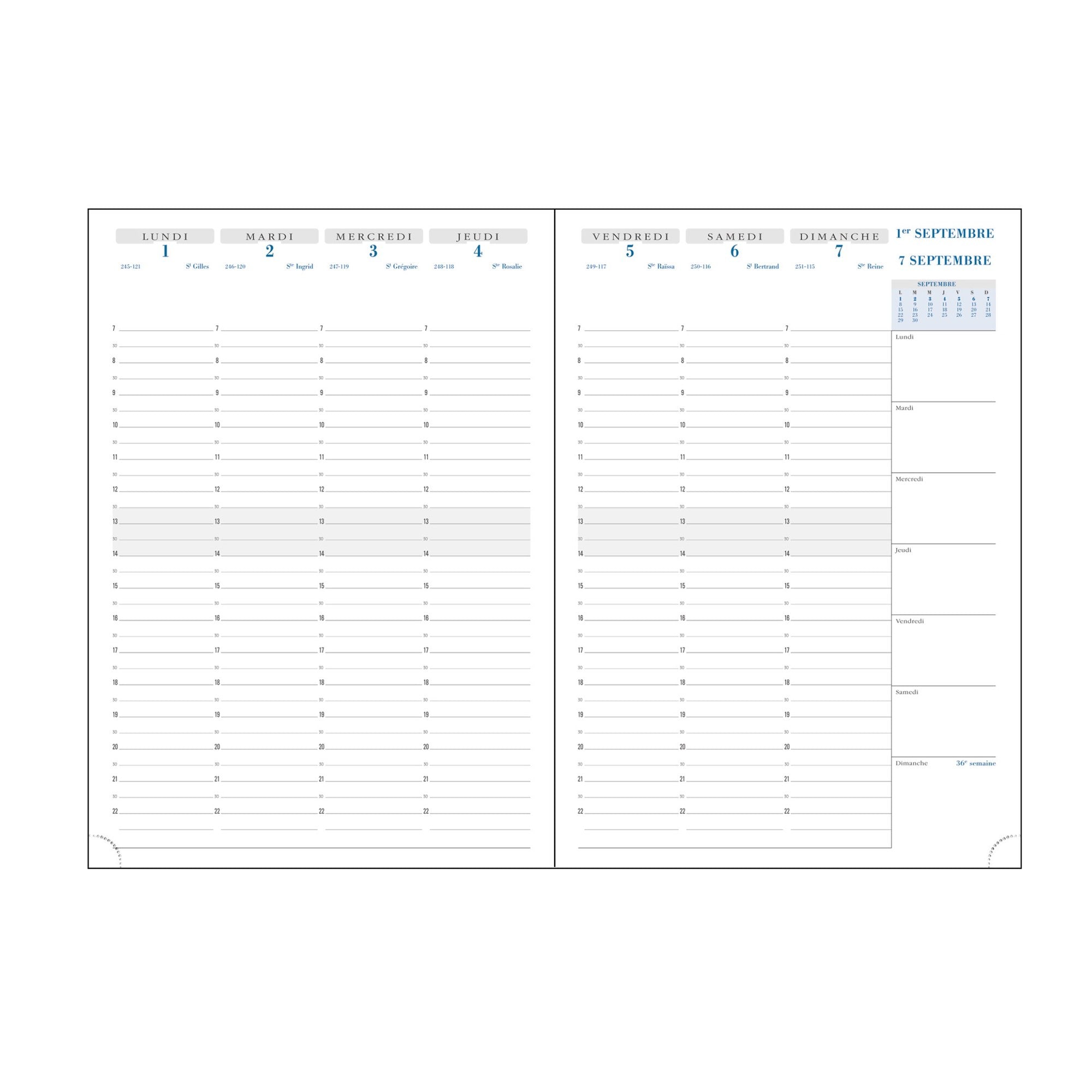 Agenda 2024-2025 EXACOMPTA SAD 29 Vérone - 1 semaine sur 2 pages - 21 x 29.5 cm - Bleu -